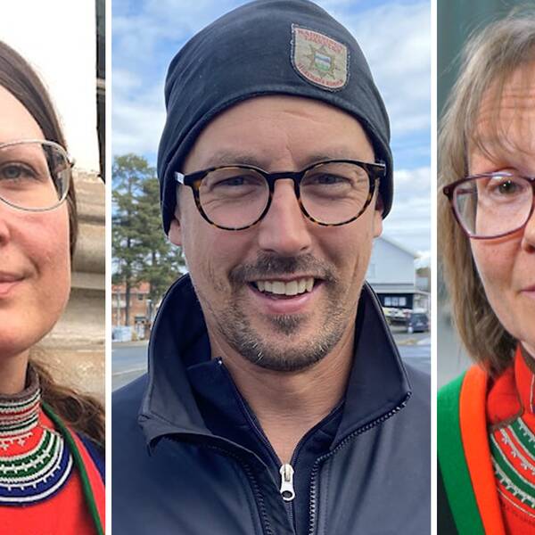 Åsa Larsson-Blind (Sámelistu), Daniel Johansson (V) och Marita Stinnerbom (C) är några av de 43 samiska kommun- och regionpolitiker som fick en ordinarie plats efter valet.