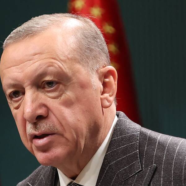 Turkiets president Erdogan håller ett tal framför en turkisk flagga.