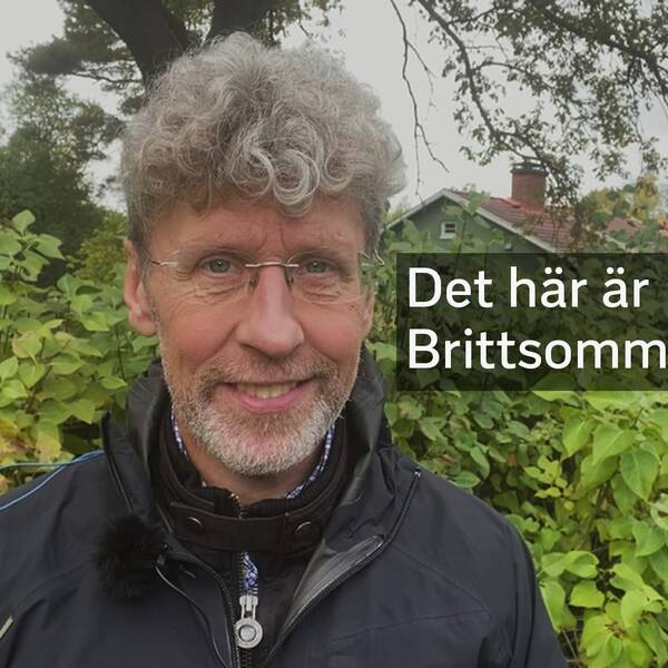 Det här är brittsommar