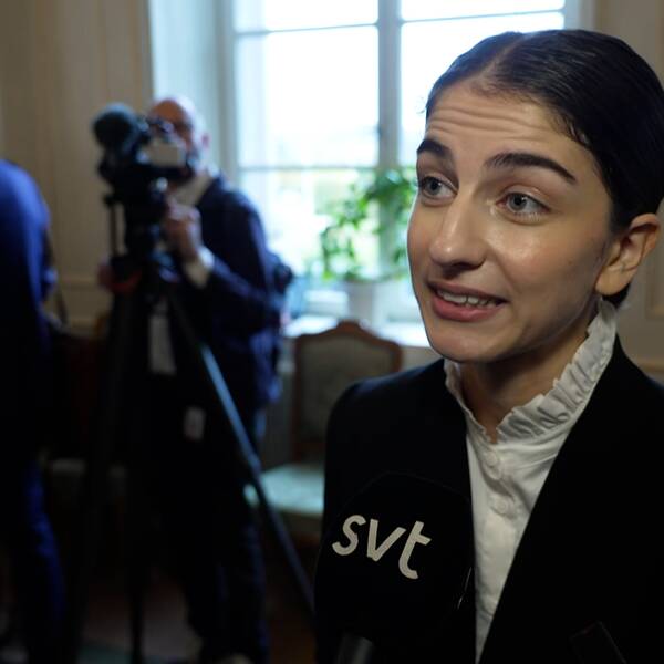 Klimat och miljöminister Romina Pormoukhtari (L) SVT Nyheter