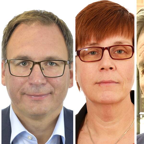 Åsa Bellander, Peder Björk, Åsa Ulander och Stefan Söderlund.