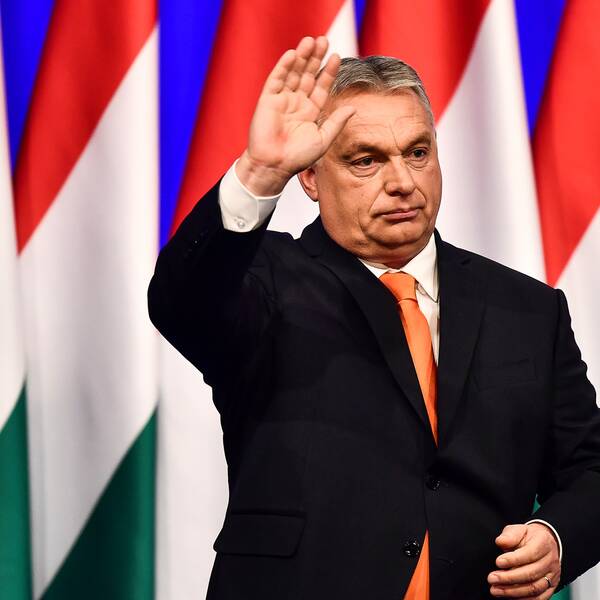 Bilden föreställer Ungerns premiärminister Viktor Orbán som vinkar framför ungerska flaggor.