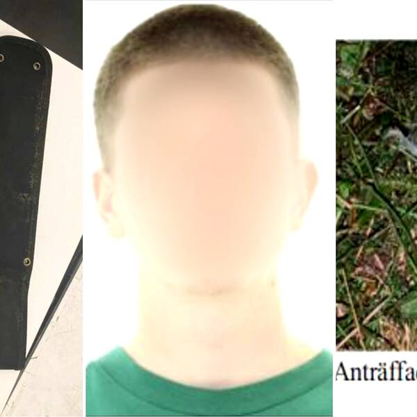 17-åringen som misstänks för mordet i Johannedal.
