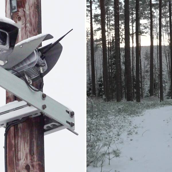 Bild på övervakningskamera på en stolpe. Även bild på en stig i en skog. Kanske en av vägarna som smugglarna mellan den norska och svenska gränsen har hittat efter pandemin.