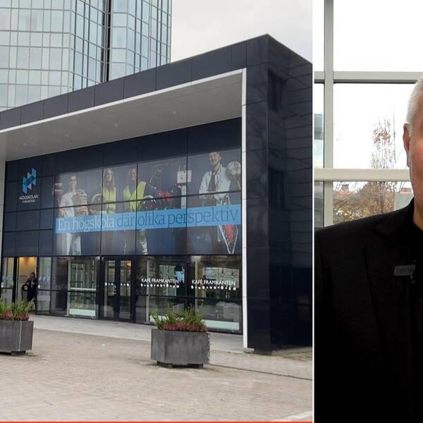 Högskolan i Halmstad och prorektor Anders Nelson