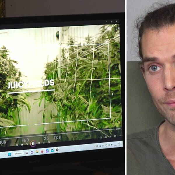 Daniel Johansson i Borås berättar för SVT varför han stämmer Mark Zuckerberg – och hur mycket pengar han har förlorat i cannabisbluffen.