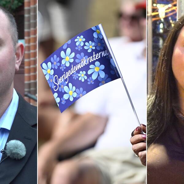 Två personer i porträtt. SD-flagga. PErsonerna är Sverigedemokraterna Andreas Havasi och Stina Isaksson som båda är politiskt aktiva i Halland. Där har SD bara plats i ett styre och det är i Varberg.