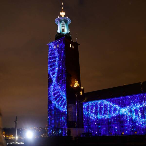Stadshuset lyses upp av en ljusinstallation i blått under Nobel week light. 