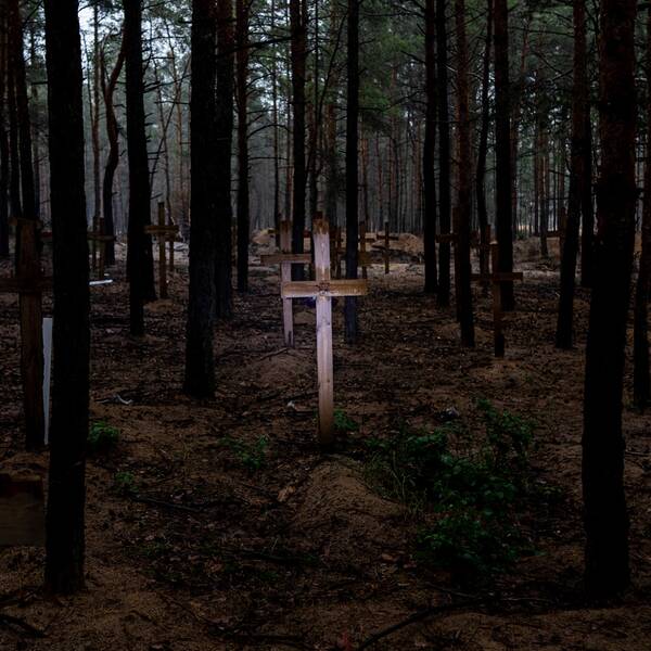 Bilden föreställer en massgrav i Izium med ett upplyst kors i trä bland flera gravar i en mörk skog.