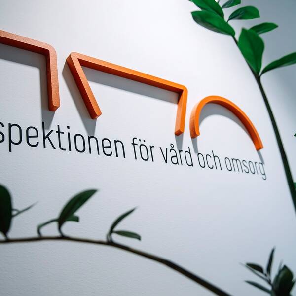 Logotypen för Inspektionen för vård och omsorg, IVO, på en vit vägg. I förgrunden en grön växt.