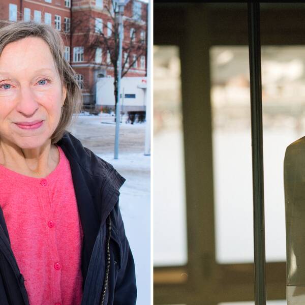 Bild på kvinna med rosa tröja och svart jacka. Även bild på medicin i dropp. Kvinnan heter Susanne Bejerot och är professor i psykiatri vid Örebro universitet. Hon kom på idén att testa MS-medicin mot schizofreni.