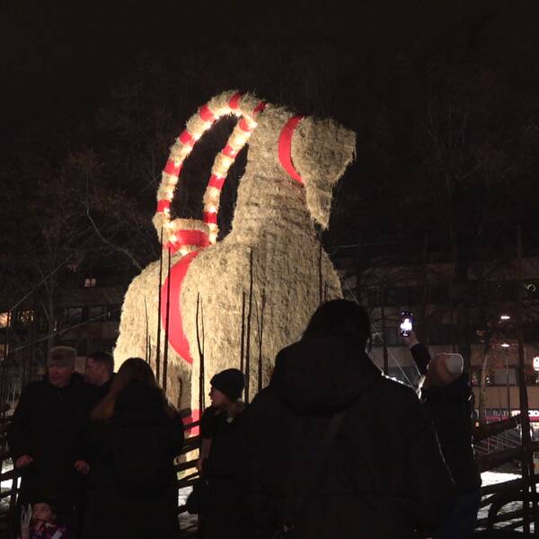 Gävlebocken lyser upp mörkret vid Esplanaden i stadens centrum.