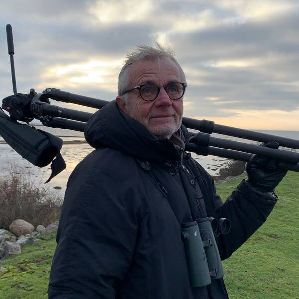 Man med grått hår och glasögon bär på ett kamerastativ på Öland. Han heter Urban Toresson
