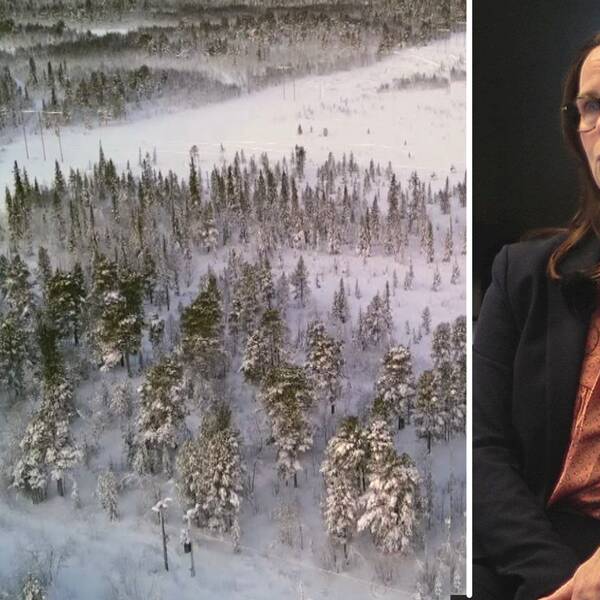 Till vänster ser ni skogen från en drönares perspektiv. Till höger ser Maria Reinholdsson bekymrad ut.