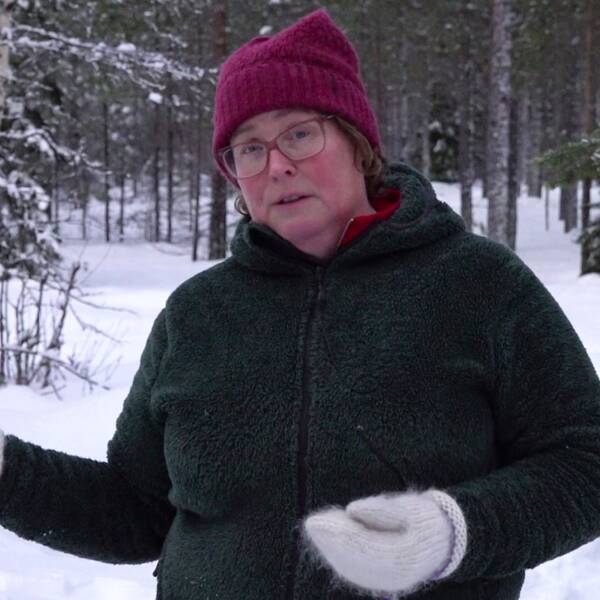 Jenny Karlsson, skogsägare och ordförande för LRF Norrbotten.