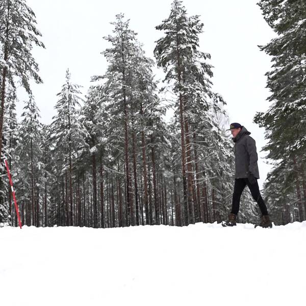En bild på en man, tagen på avstånd, som går i snö. 