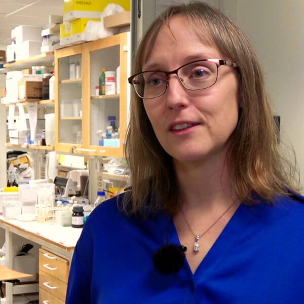 Cecilia Wallmark, verksamhetsledare för Luleå tekniska universitets vätgassatsning.