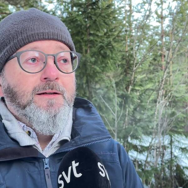 På bilden syns Magnus Andersson, chef skog och mark Holmen skog, i bakgrunden syns skog och snö.