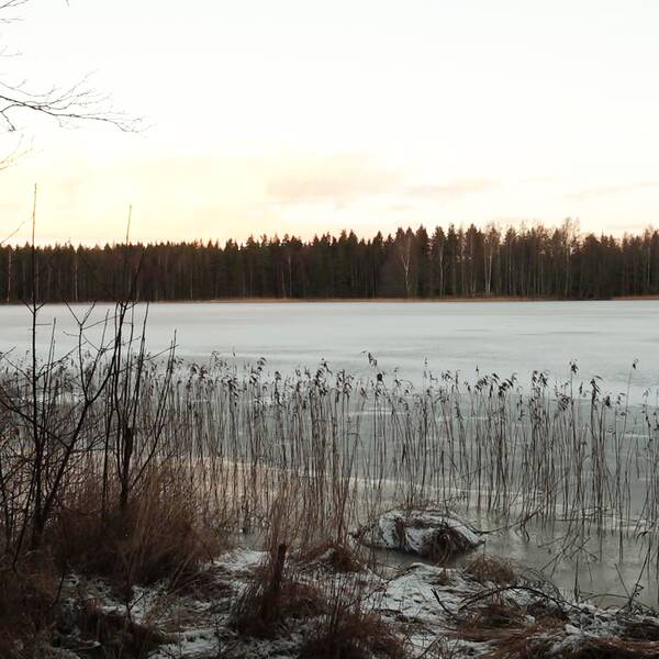 En bild på en frusen sjö.