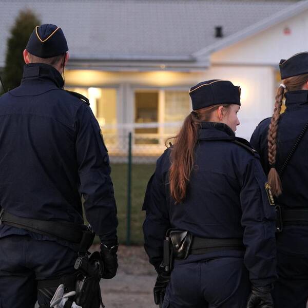 I klippet kan du höra delar av larmsamtalet den misstänkte mannen ringde strax efter att kvinnan dödats.