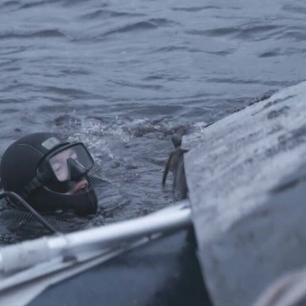 En dykare kommer upp till vattenytan i tv-dokumentären ”Nordens okända krig”.