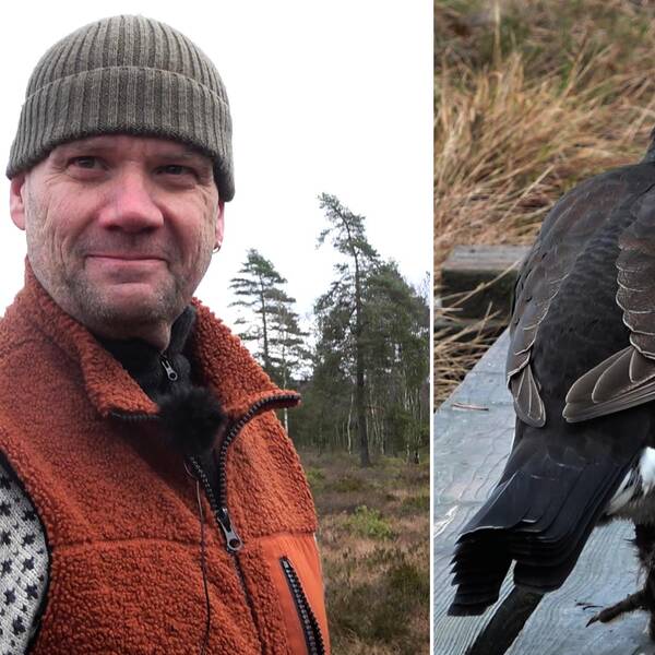 Mattias Engman från Bjuv tittar in i kameran ute på tur på Söderåsen. En bild på rackelhanen med sina svart-vita fjädrar.