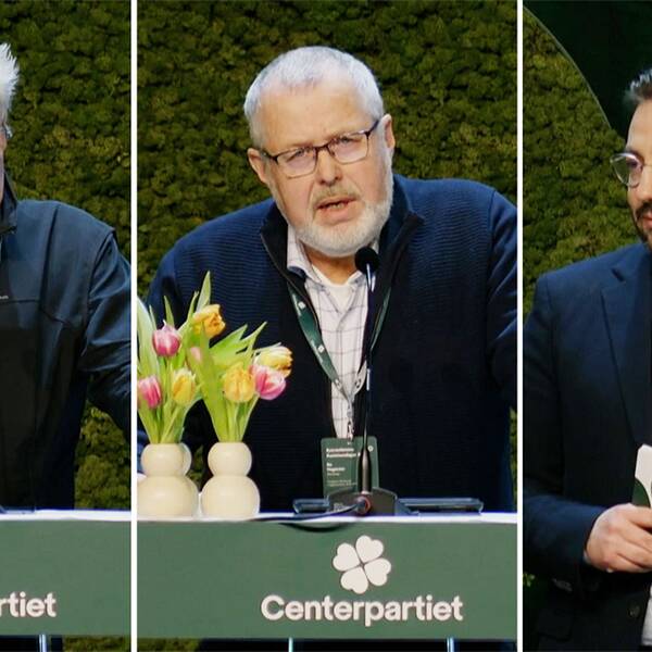 Lars Bäckström från Robertsfors i Västerbotten, Bo Hagström, ordförande för Centerpartiet Gullspång och Muharrem Demirok.