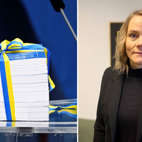 Tvådelad bild: Regeringens budgetbesked och Josefin Stålbert, enhetschef vid studieförbundet Bilda Svealand.