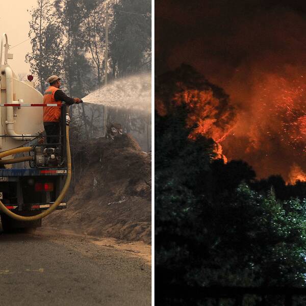 Räddningsarbetare i Chile arbetar för fullt med att släcka de skogsbränder som skördat minst 13 liv. Bild på räddningsarbetare som sprutar vatten, bredvid bild på brand i mörker.