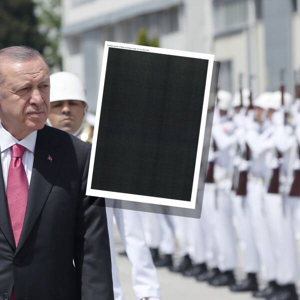 Turkiets president Recep Tayyip Erdogan under en ceremoni i maj i fjol, samt en inklippt bild på ett maskat beslut. Bilden är ett montage. 