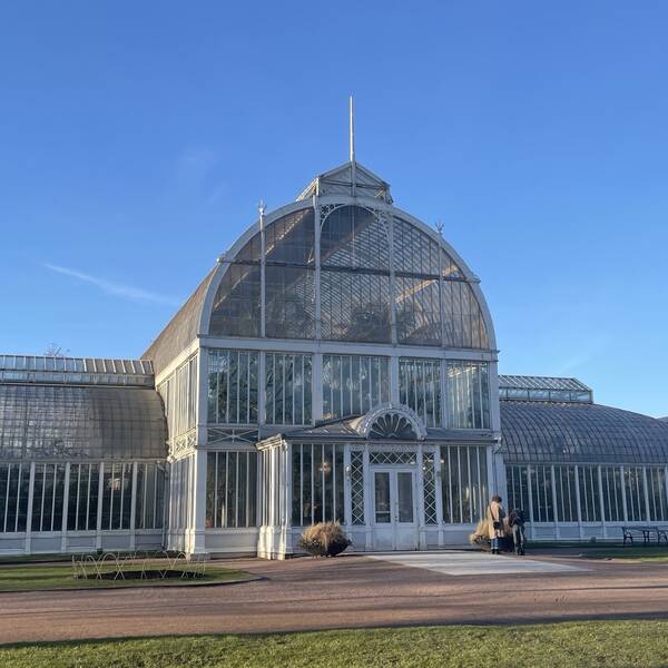 Palmhuset i Göteborg som ska restaureras under fyra somrar