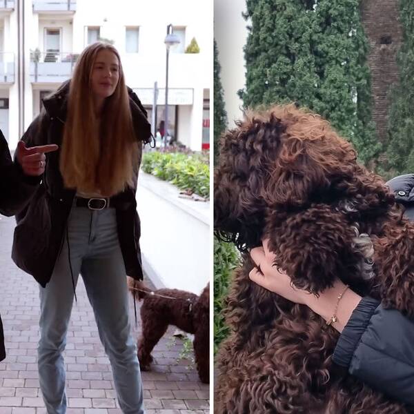 SVT Sport besökte volleybollstjärnan Isabelle Haak, och hunden Loui, i Italien.