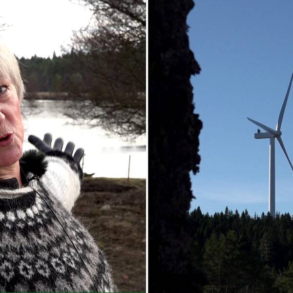 Ett montage med en bild på en kvinna som pekar mot sjön och en bild på ett vindkraftverk i Tranemo kommun.