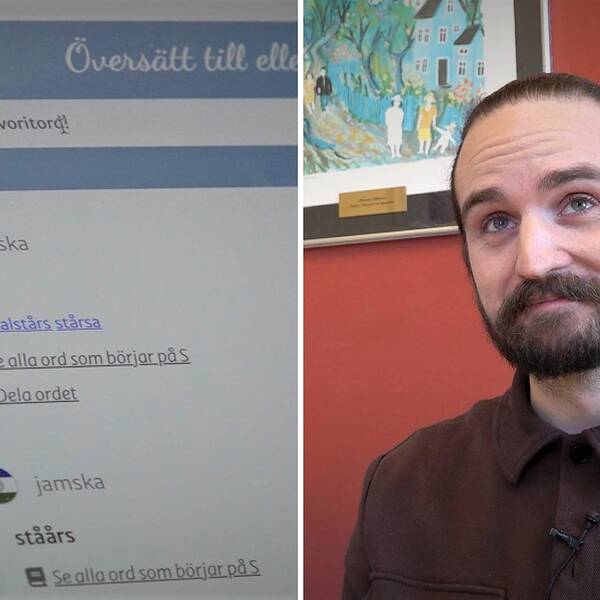 Halva bilden visar webbsidan jamska.com med ord skrivna på jamska. Andra halvan visar upphovsmannen till tjänsten, Johan Olsson. Han har mörkt hår och helskägg.