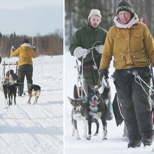 Marie Jonsson Vikander och Alexander Värdling i full färd på skidor och hundspann.