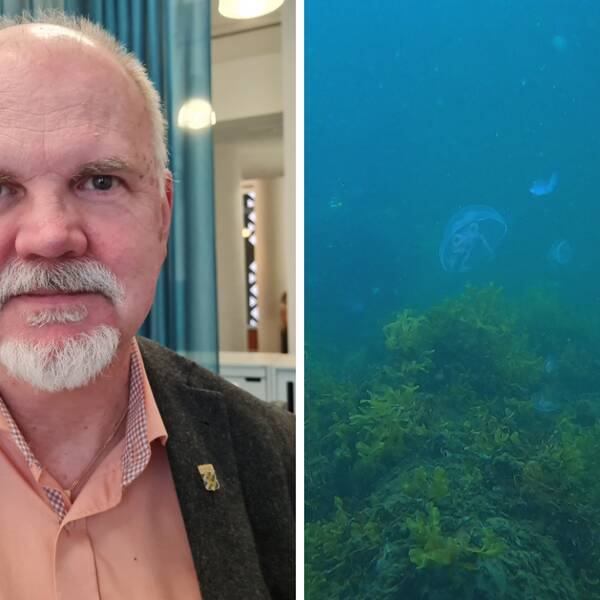 Mikael Krysell, enhetschef på Havs- och vattenmyndigheten i ett kollage med bild på undervattensmiljö.