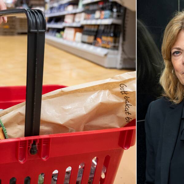 Bild på varukorg fylld med matvaror och bild på en kvinnan, som heter Karin Brynell och är vd för Svensk Dagligvaruhandel.