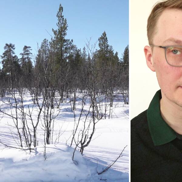 En bild på ett orört snötäcke och LKAB:s gruvingenjör Johan Bergström.