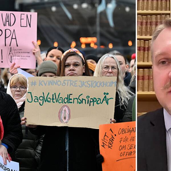 Professorn: Hög sannolikhet att HD tar upp snippa-målet