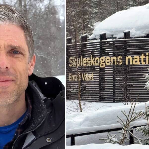Bild på Torbjörn Engberg, chef över natur i Höga kusten och en bild på Skuleskogens entré syd.