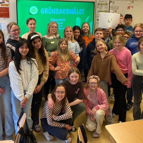 Eleverna i klass 5A på British junior i Eskilstuna står i klassrummet för en gruppbild, med en projektor som projicerar ”Grönsaksmålet” på tavlan.