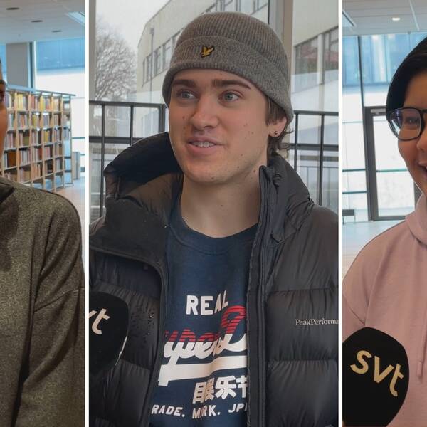 Tre studenter på Blekinge tekniska högskola i Karlskrona svarar på frågor om studentliv.