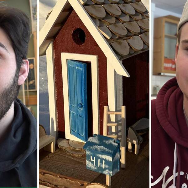 Eleverna Mohammed Hassan och Johan Sandkvist på Hjalmar Strömerskolan i Strömsund har byggt fågelholkar. En av elevernas kreationer Sommarstugan som syns i mitten av bilden har gått till final i SM i fågelholk.