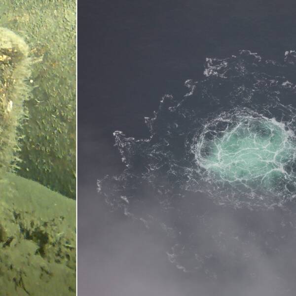 Det okända föremålet som nu ska bärgas beskrivs som cylinderformat och är cirka 40 cm högt samt 10 cm i diameter. Det hittades på danskt vatten i Östersjön nära Nord Stream 2-läckan.