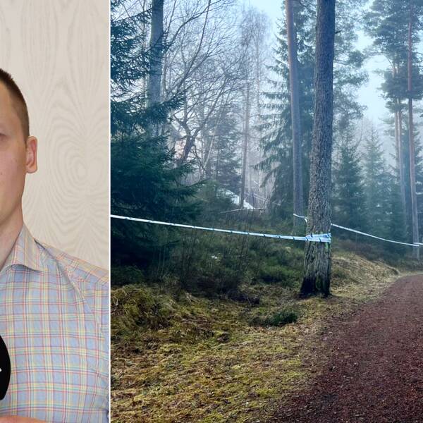 SVT:s reporter Johannes Tolf berättar från häktningsförhandlingen om de misstänkta mordplatserna i Taberg.