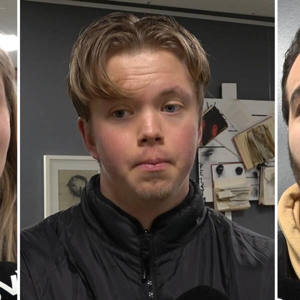 Två unga vuxna, en kvinna ch två män