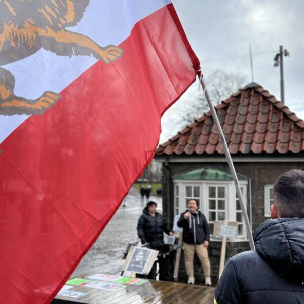 En stor flagga från Iran täcker vänstra sidan av bilden samtidigt som man ser en rygg på en ung kille som håller i flaggan och kollar framåt.