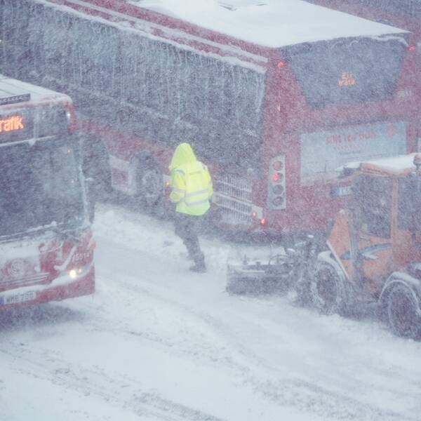 Snöfall över bussar