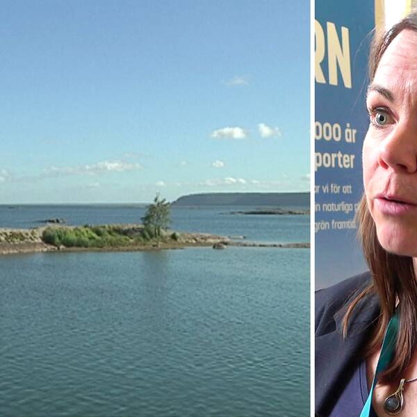 Laila Gibson är verksamhetsledare på Vänersamarbetet och hoppas att den nya strategin ska hjälpa Vänern att få en bättre vattenkvalitet.