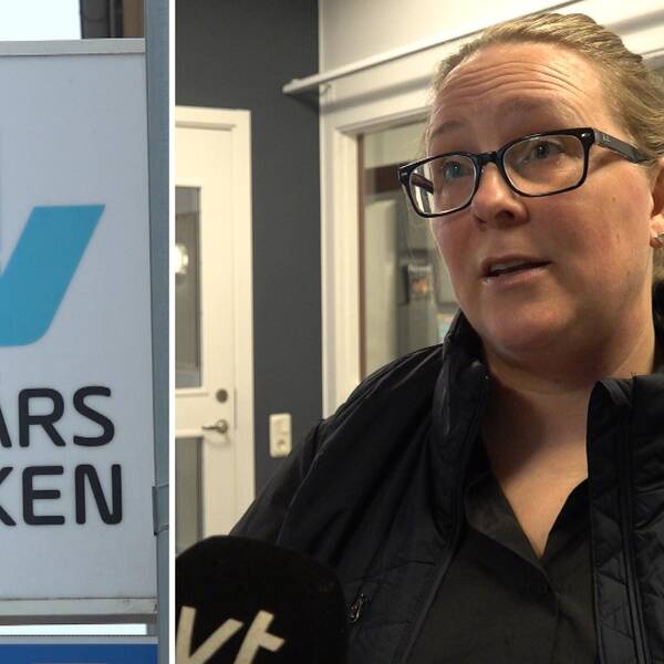 Anna Hammartorp, affärsområdeschef för Energi Affärsverken pratar om Skärgårdsportföljen.